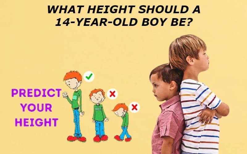 What Height Should A 14-Year-Old Boy Be?
