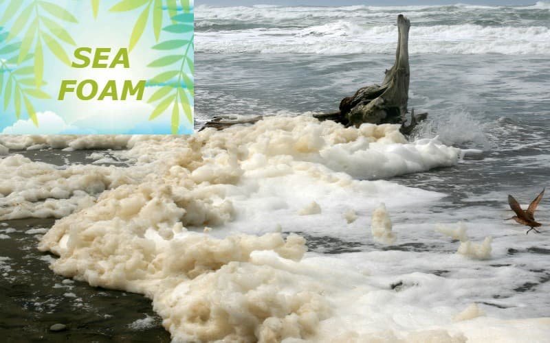 What Is The Composition Of Sea Foam?