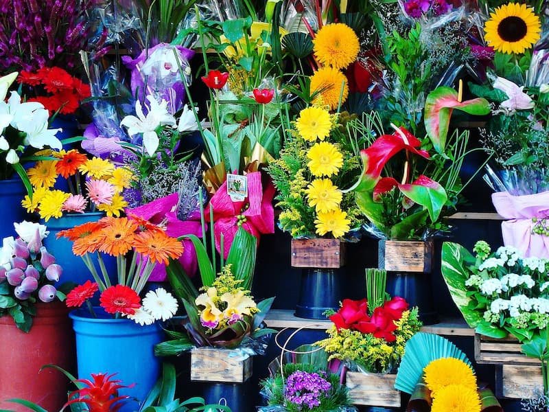 Farmgirl Flowers