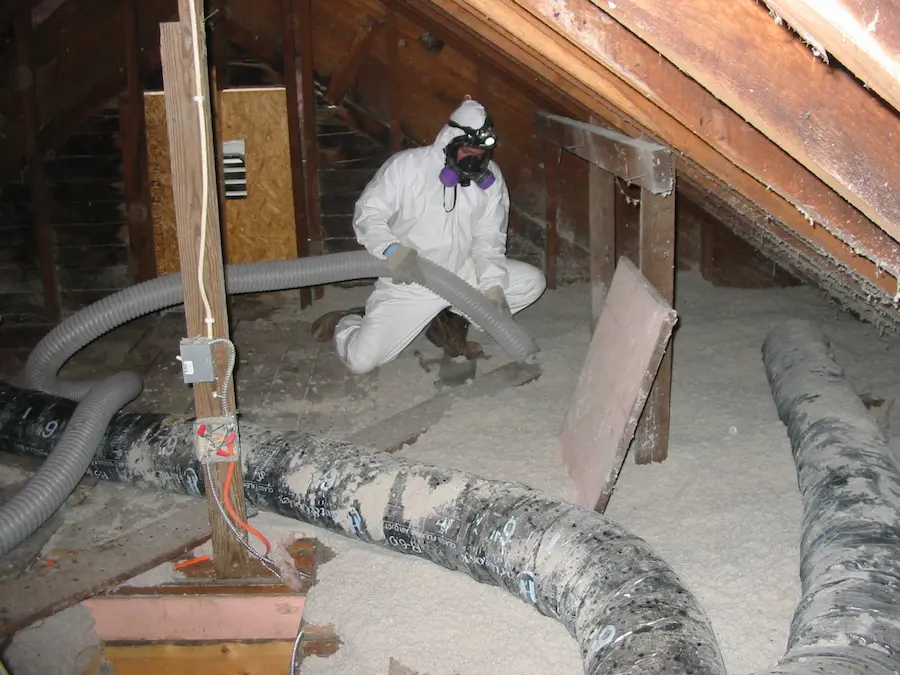 Attic Cleaning