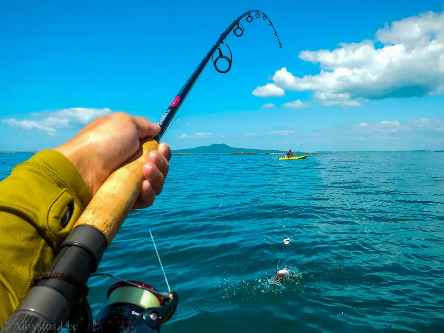 Fishing Tips: Using a Saltwater Reel in Freshwater