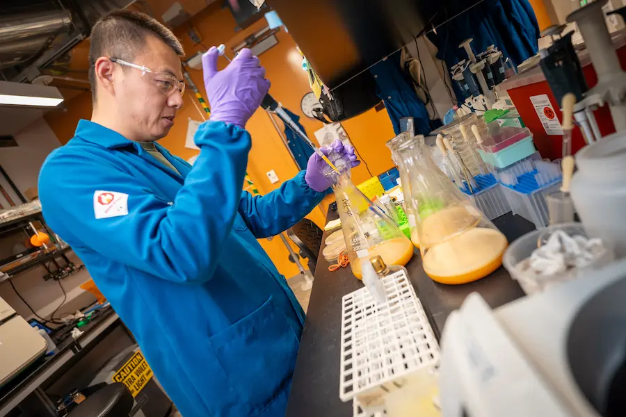 How Research Peptides Drive Innovation in Scientific Laboratories