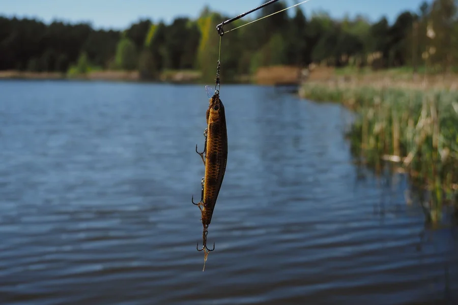 Angler Sight Fishing Lake Water Angler casting a fishing lure across clear lake water reflection on a sunny morning